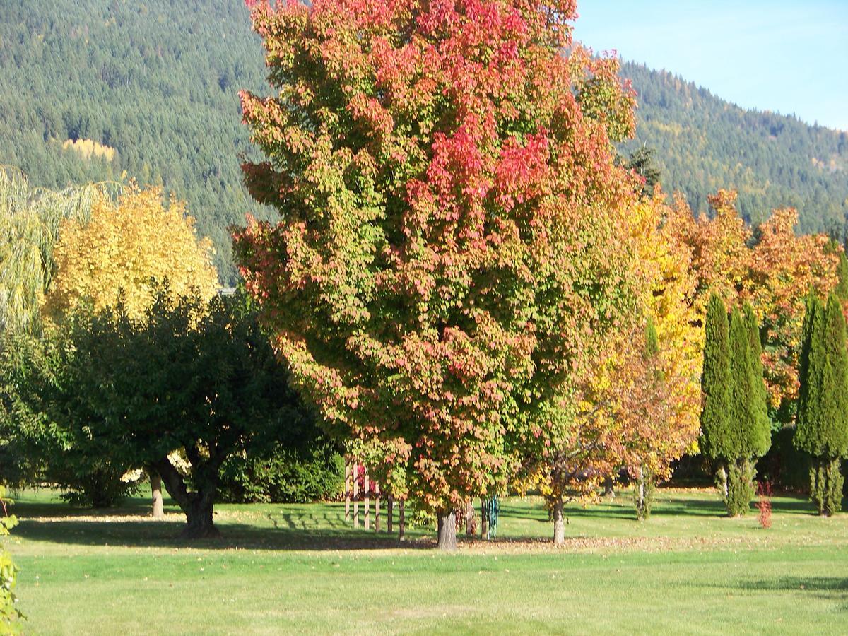 Bavarian Orchard Motel Creston Exterior foto